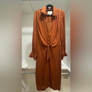 Elegant Rust Dress